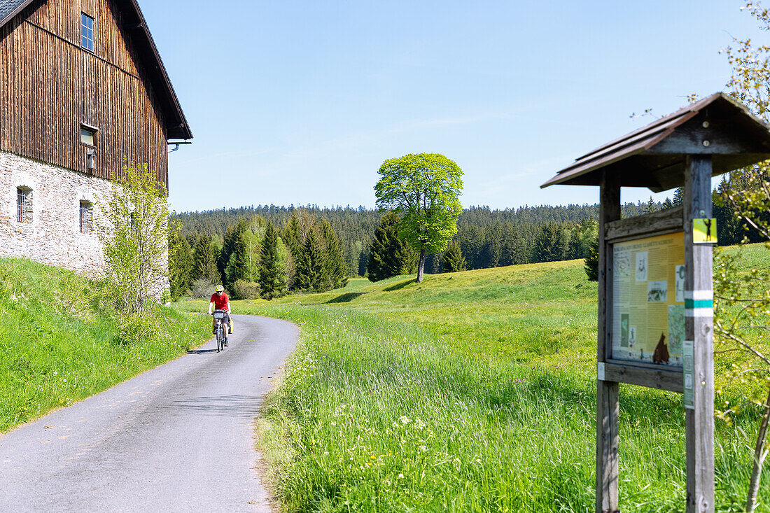Radweg auf der Glashüttenroute bei Nový Brunst im Biosphärenreservat Šumava bei Železná Ruda im Böhmerwald, Tschechien