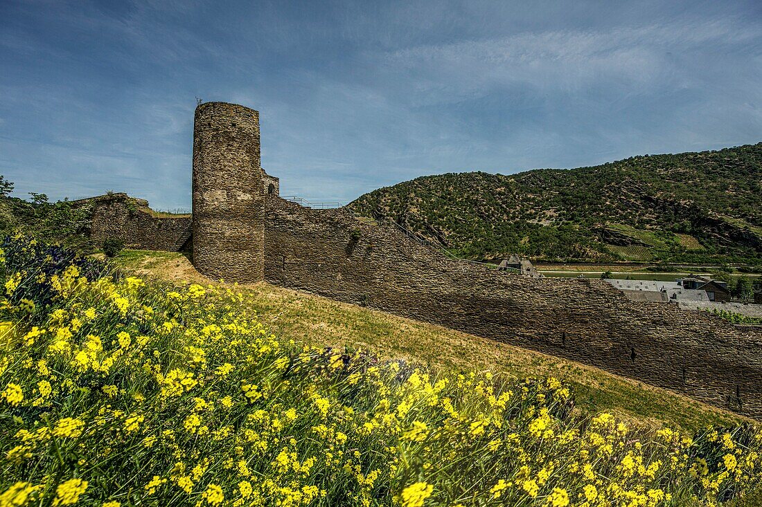 Stadtmauer und Wehrturm auf dem Michelfeld mit Blick über die Dächer der Stadt zum Rheintal, Oberwesel, Oberes Mittelrheintal, Rheinland-Pfalz, Deutschland