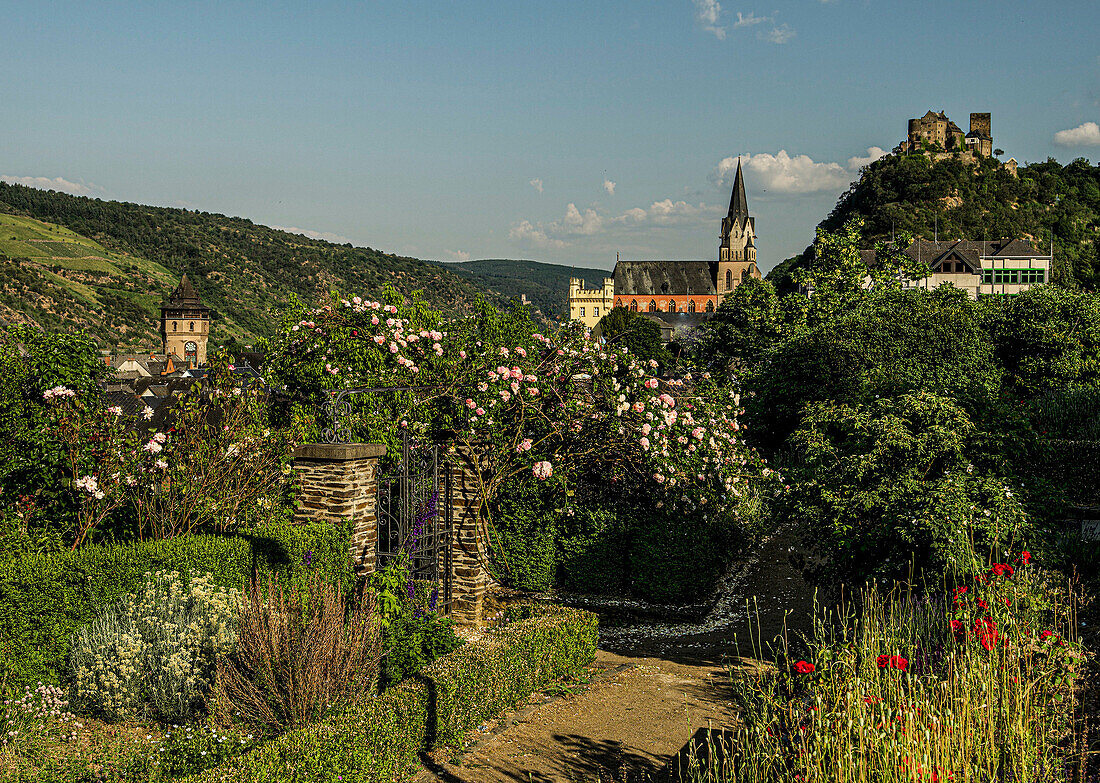 Blick vom Stadtmauergarten zur Altstadt von Oberwesel mit Rotem Turm, Liebfrauenkirche und Schönburg, Oberes Mittelrheintal, Rheinland-Pfalz, Deutschland