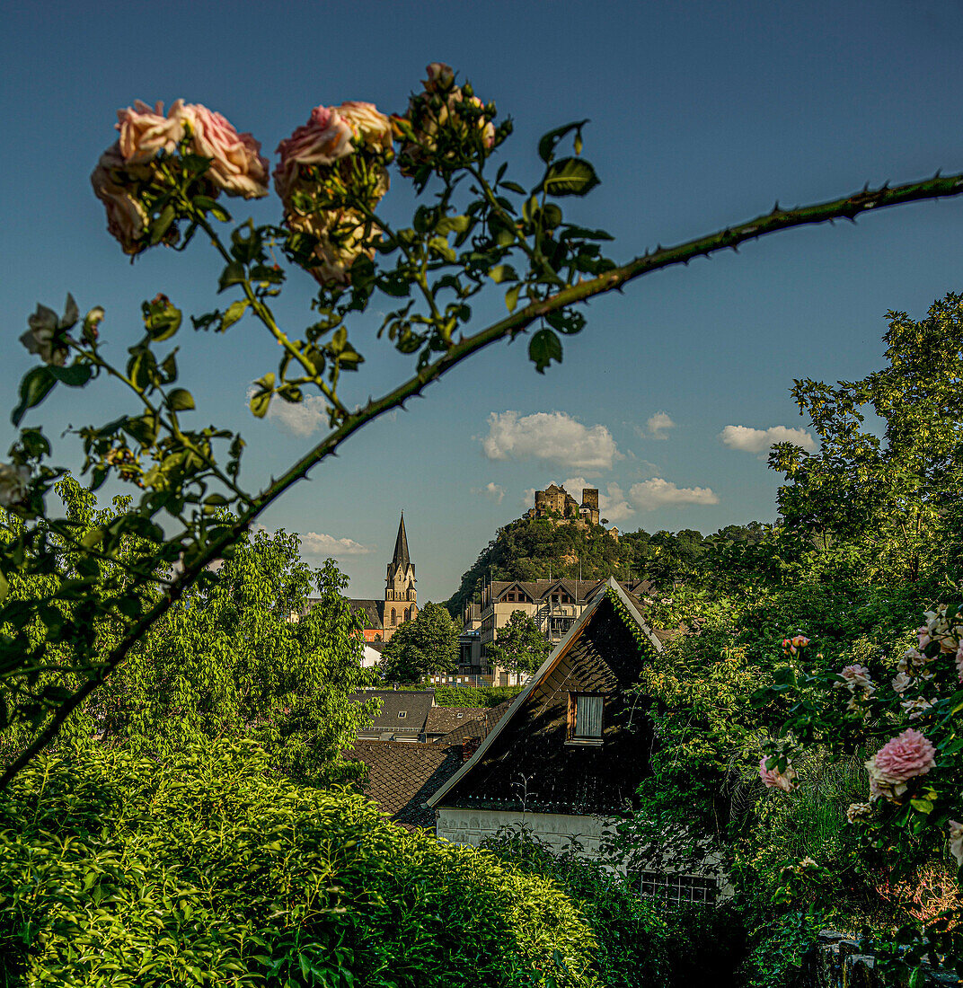 View from the Stadtmauergarten on Liebfrauenkirche and Schönburg, Oberwesel, Upper Middle Rhine Valley, Rhineland-Palatinate, Germany