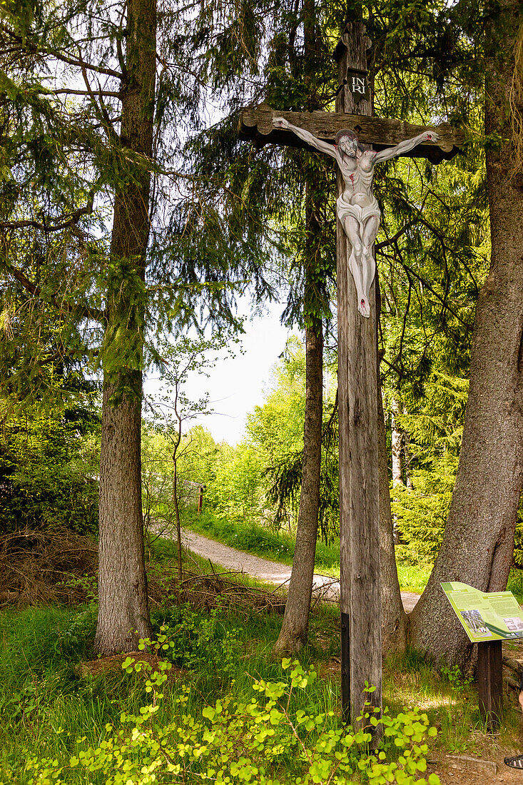 Black Cross near Stožec in the Vltava Valley in the Šumava National Park in the Bohemian Forest in the Czech Republic