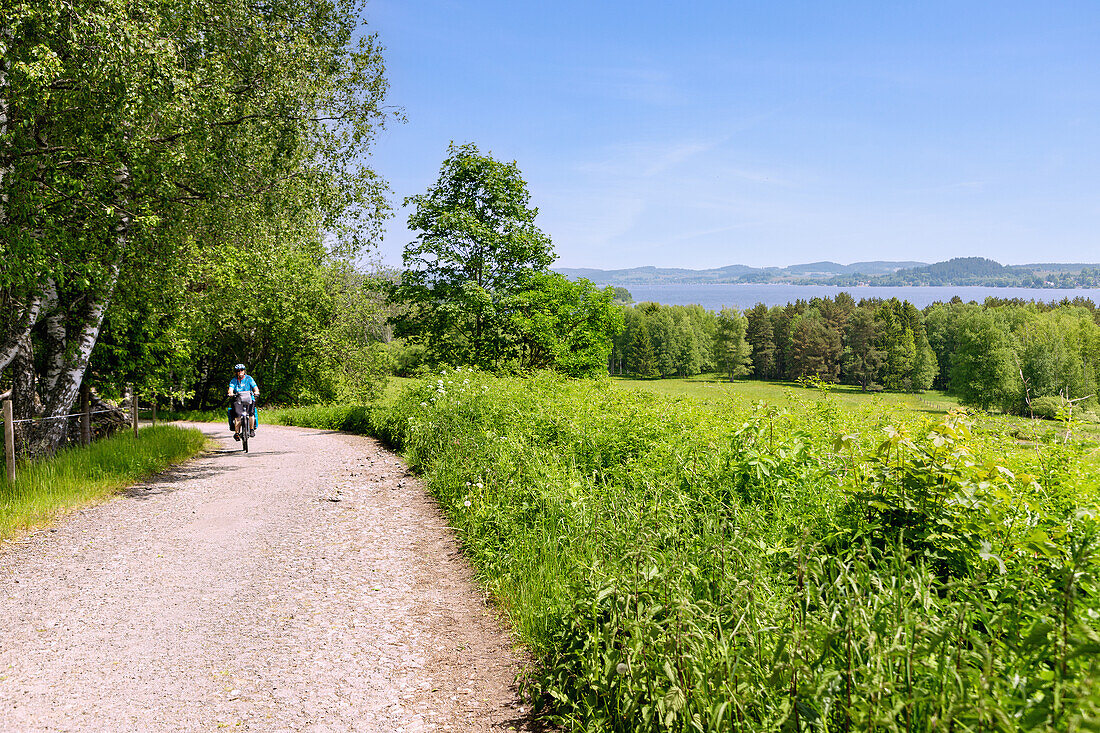 Moldau-Radweg mit Ausblick auf den Lipno-Stausee und Dolní Vltavice, Tschechien