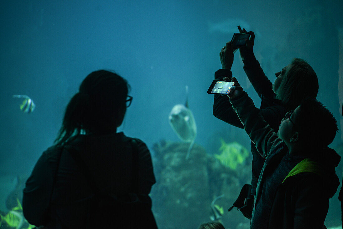 Oceanario, Lisbon, Portugal, December 2017