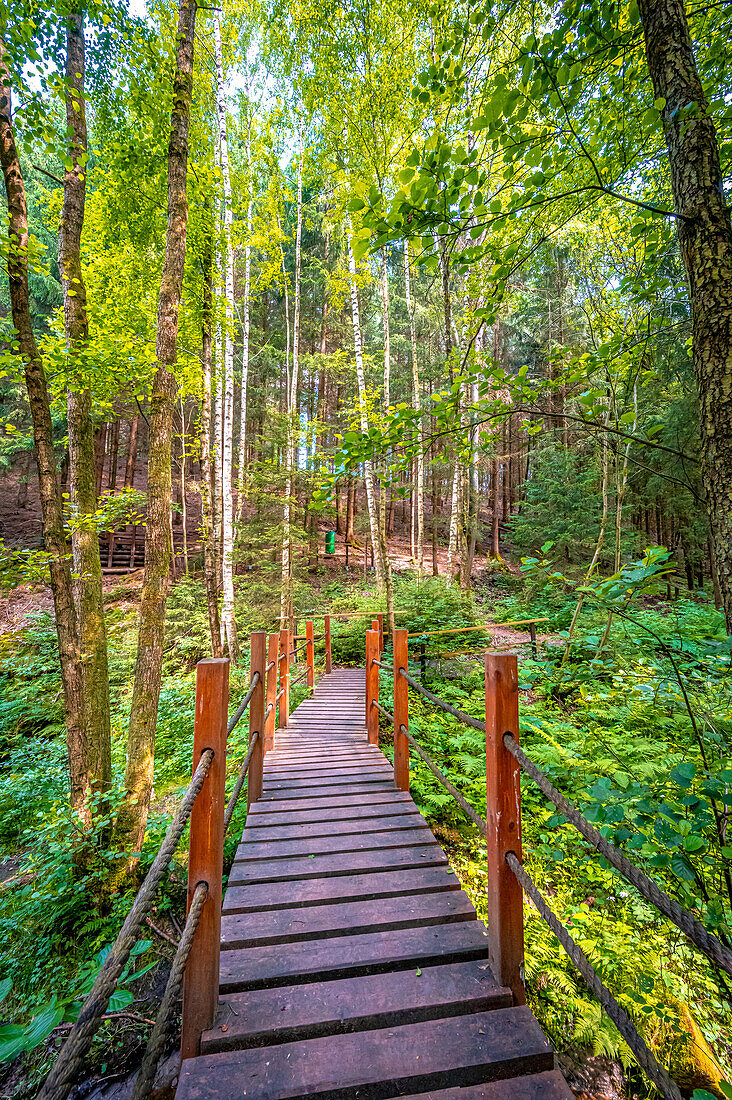 Wooden bridge in the forest at Nossengrund in summer, Stadtroda, Thuringia, Germany