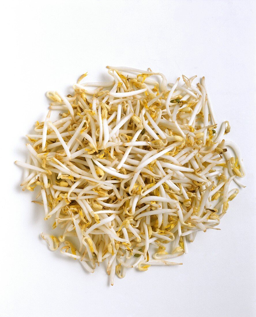 Soybean Sprouts