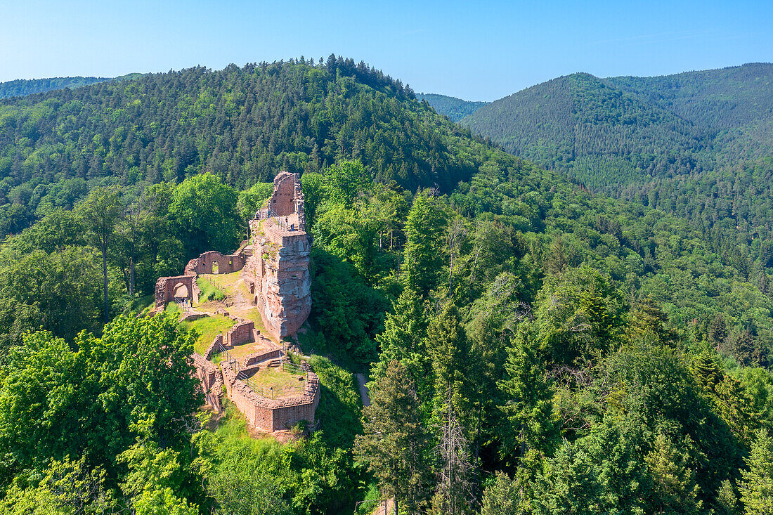 Die Burg Meistersel bei Ramberg, Pfälzerwald, Rheinland-Pfalz, Deutschland