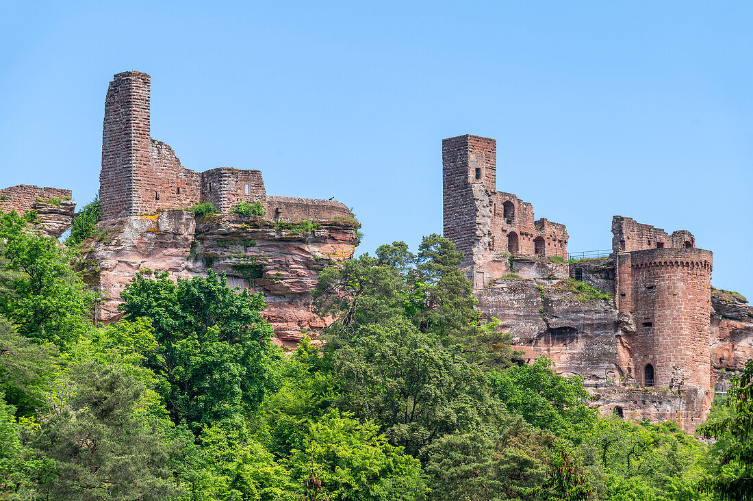 Die Burgengruppe Alt-Dahn, Dahner Felsenland, bei Dahn, Pfälzerwald, Wasgau, Rheinland-Pfalz, Deutschland