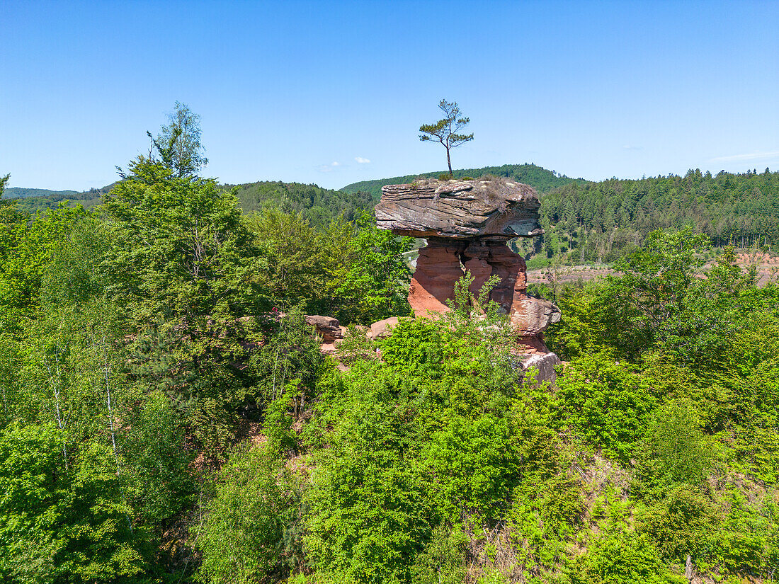 Teufelstisch bei Hinterweidenthal, Pfälzer Wald, Wasgau, Dahner Felsenland, Rheinland-Pfalz, Deutschland