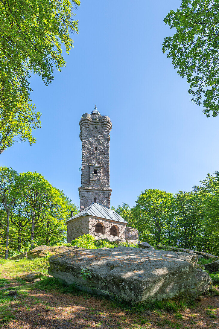 Luitpold Tower, Hermersbergerhof, Wilgartswiesen, Palatinate Forest, Rhineland-Palatinate, Germany