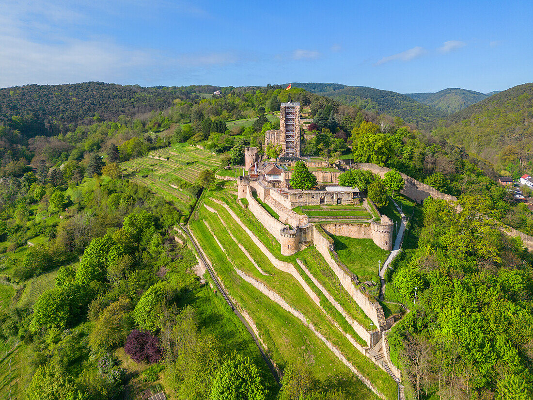 Wachtenburg ruins in Wachenheim near Bad Dürkheim, Haardt, Southern Wine Route, Wachenheim an der Weinstrasse, German Wine Route, Palatinate Forest, Rhineland-Palatinate Germany