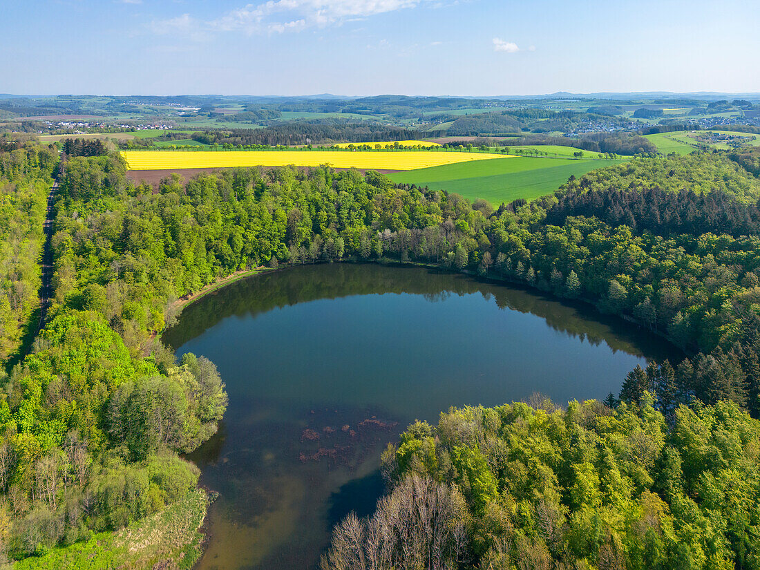 Holzmaar bei Gillenfeld,  Eifel, Rheinland-Pfalz, Deutschland