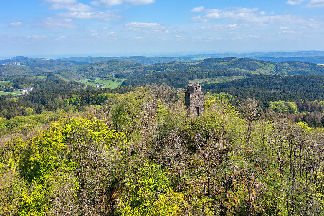 Der Kaiser-Wilhelm Turm auf der Hohen Acht (Hohe Acht) bei Adenau, Eifel, Rheinland-Pfalz, Deutschland