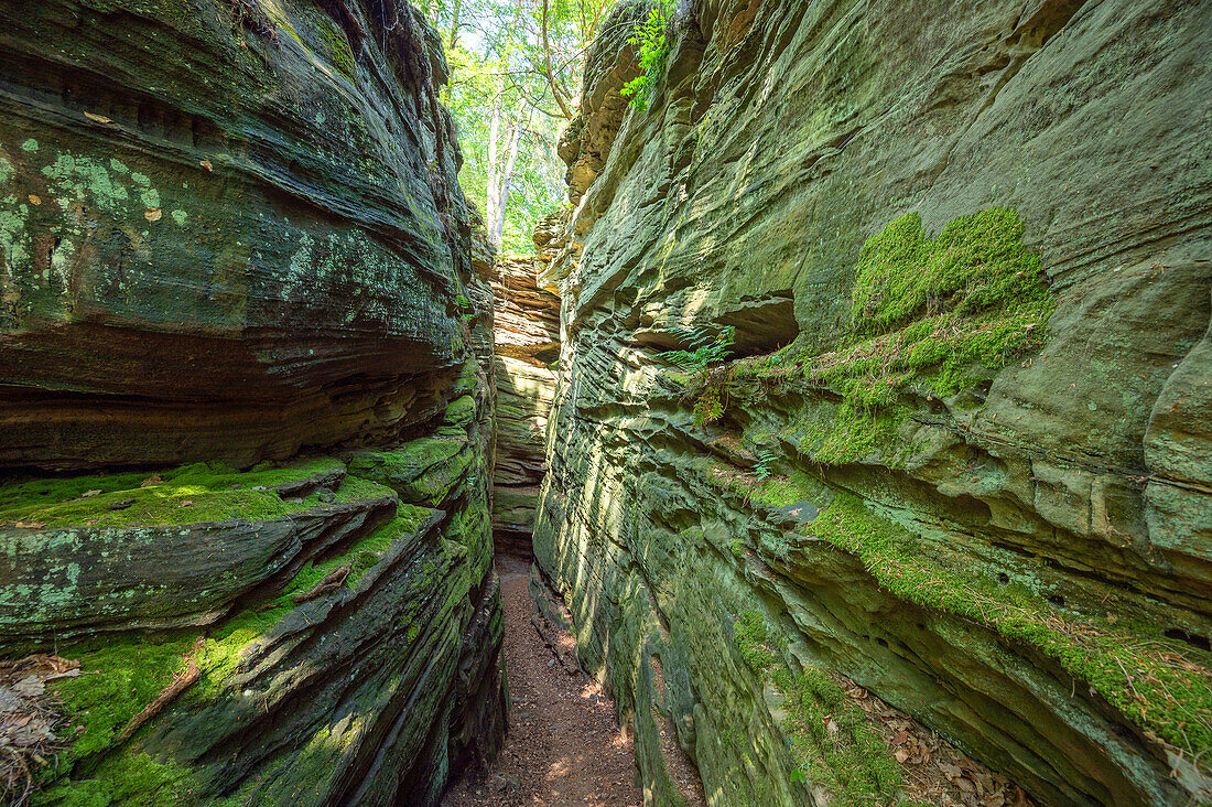 Rocks of the Green Hell near Bollendorf an der Sauer, Sauertal, Bollendorf, Eifel, Rhineland-Palatinate, Germany