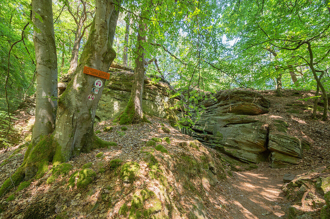 Rocks of the Green Hell near Bollendorf an der Sauer, Sauertal, Bollendorf, Eifel, Rhineland-Palatinate, Germany