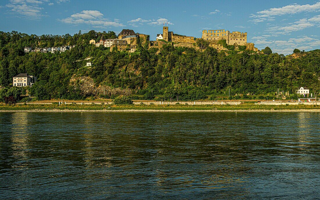 Burg Rheinfels im Morgenlicht, St. Goar, Oberes Mittelrheintal, Rheinland-Pfalz, Deutschland