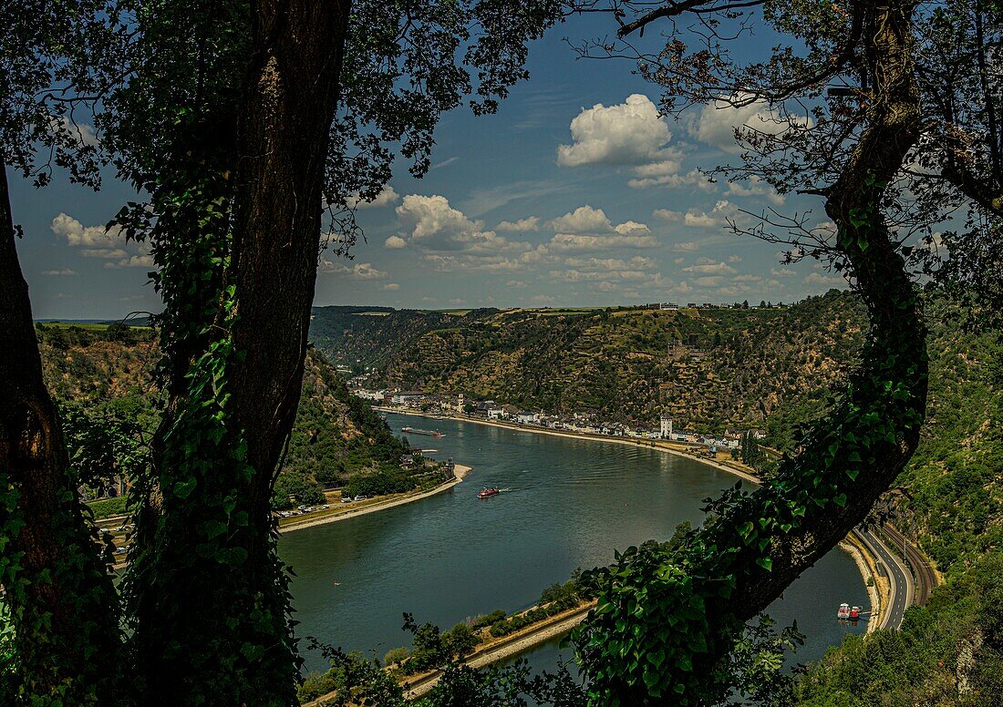 Blick vom Loreley-Plateau auf die Rheinschleife bei St. Goarshausen, Oberes Mittelrheintal, Rheinland-Pfalz, Deutschland