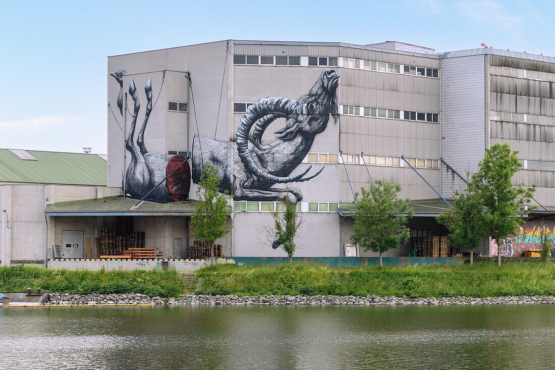 Mural Harbor with mural by ROA in Linz in Upper Austria in Austria