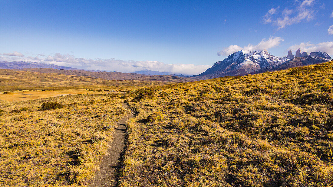 A hiking trail through steppe in the north of the Torres del Paine mountain range, Torres del Paine National Park, Chile, Patagonia, South America