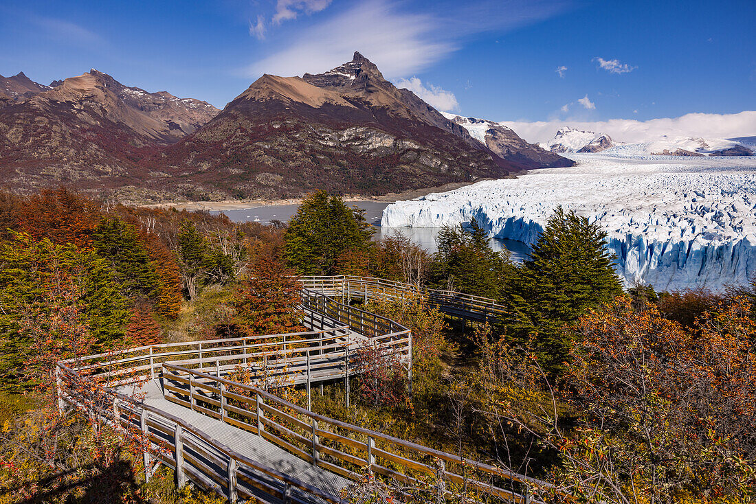 Landscaped footbridges and hiking trails on the Perito Moreno Glacier in autumnal colors and sun with a mountain panorama in the background, Argentina, Patagonia, South America