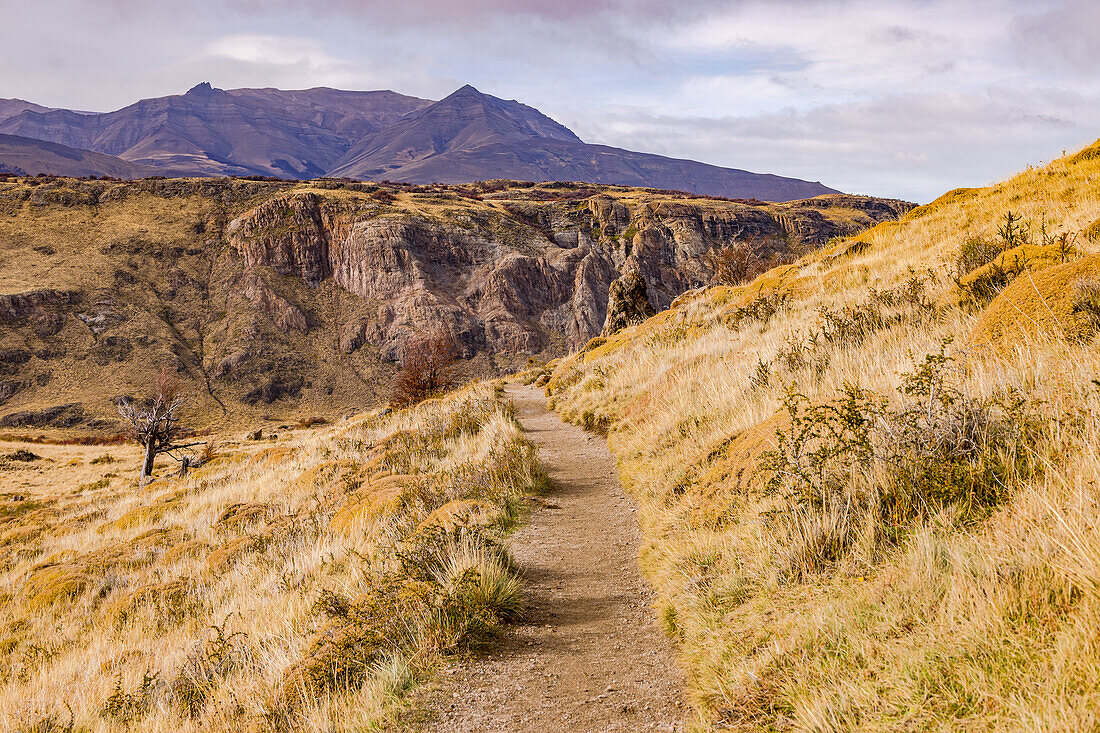 A hiking trail in the lonely natural landscape with grasslands and mountains above El Chalten, Argentina, Patagonia