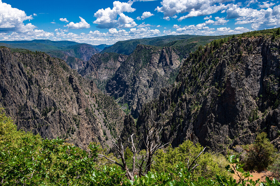 Ausblick auf steile Wände und schwarze Felsen im Black Canyon, Gunnison-Nationalpark, Colorado, USA