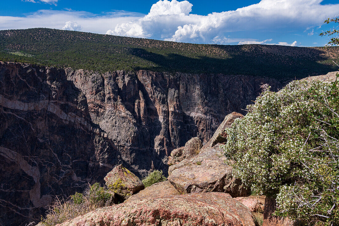 Steile Wände und schwarze Felsen im Black Canyon, Gunnison-Nationalpark, Colorado, USA