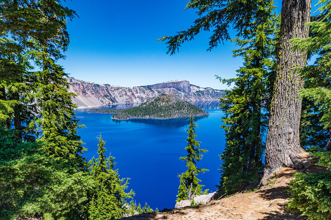 Blick auf Wizard Island vom Discovery Point, Crater Lake, Crater Lake National Park, Oregon, USA