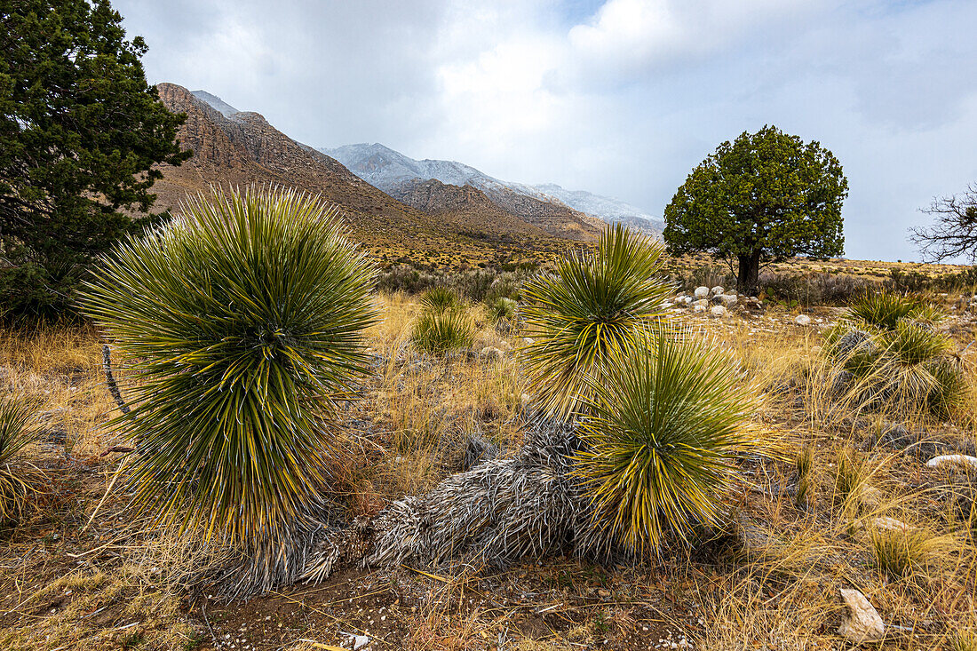 View of the mountains with a touch of snow on the peaks.