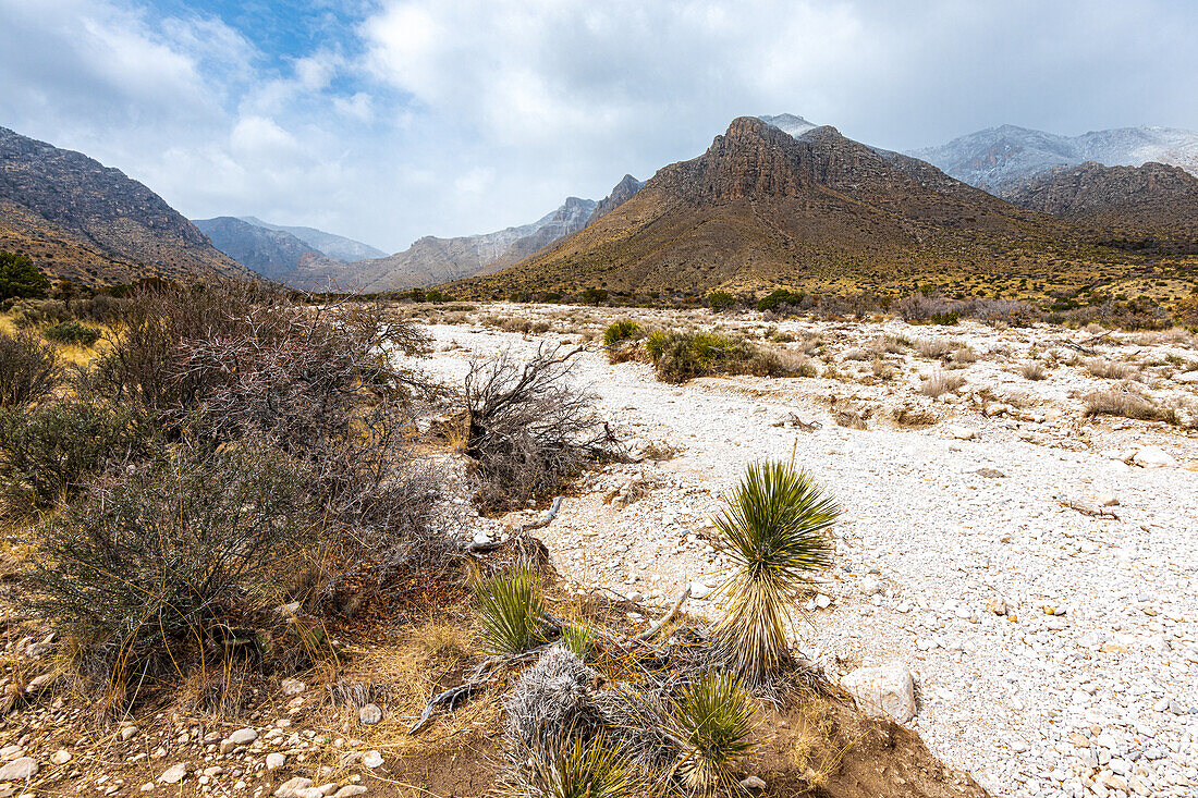 Blick auf die Berge und Landschaft, Guadalupe-Mountains-Nationalpark, Texas, USA