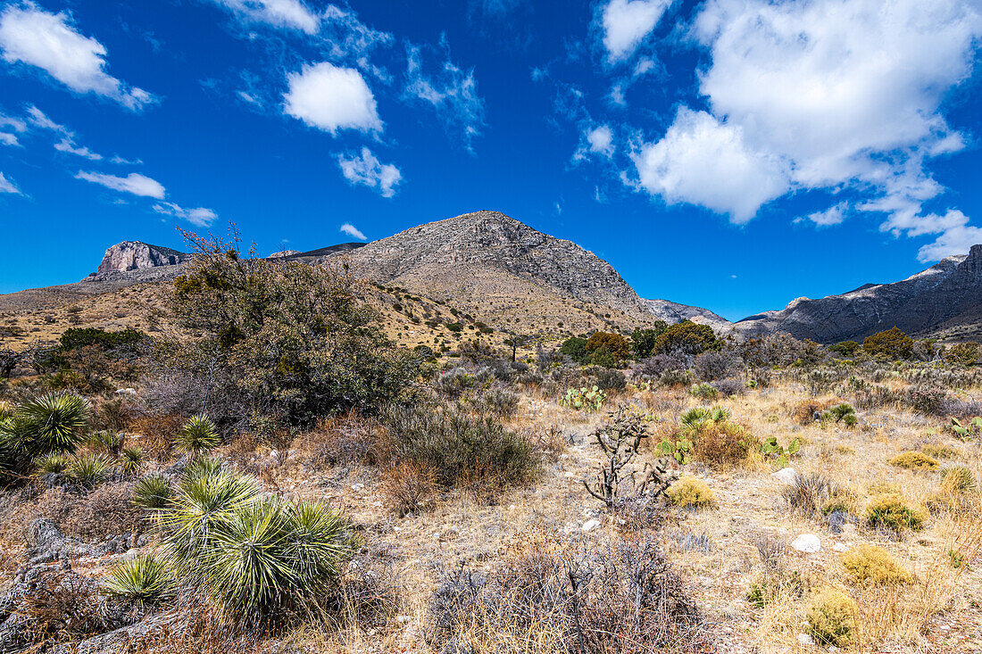 Blick auf die Berge und Felsengipfel, Guadalupe-Mountains-Nationalpark, Texas, USA