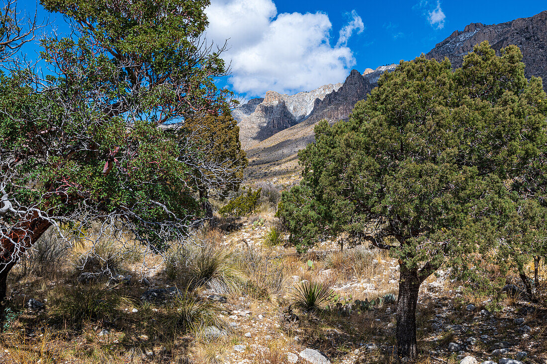 Blick auf die Berge und Felsengipfel, Guadalupe-Mountains-Nationalpark, Texas, USA