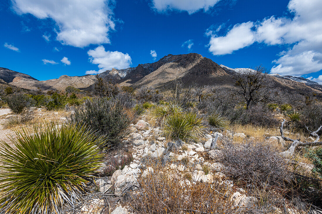 View of the mountains with a touch of snow on the peaks.