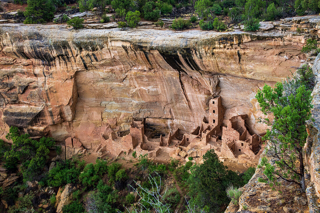 One of the many cliff dwellings in Mesa Verde National Park