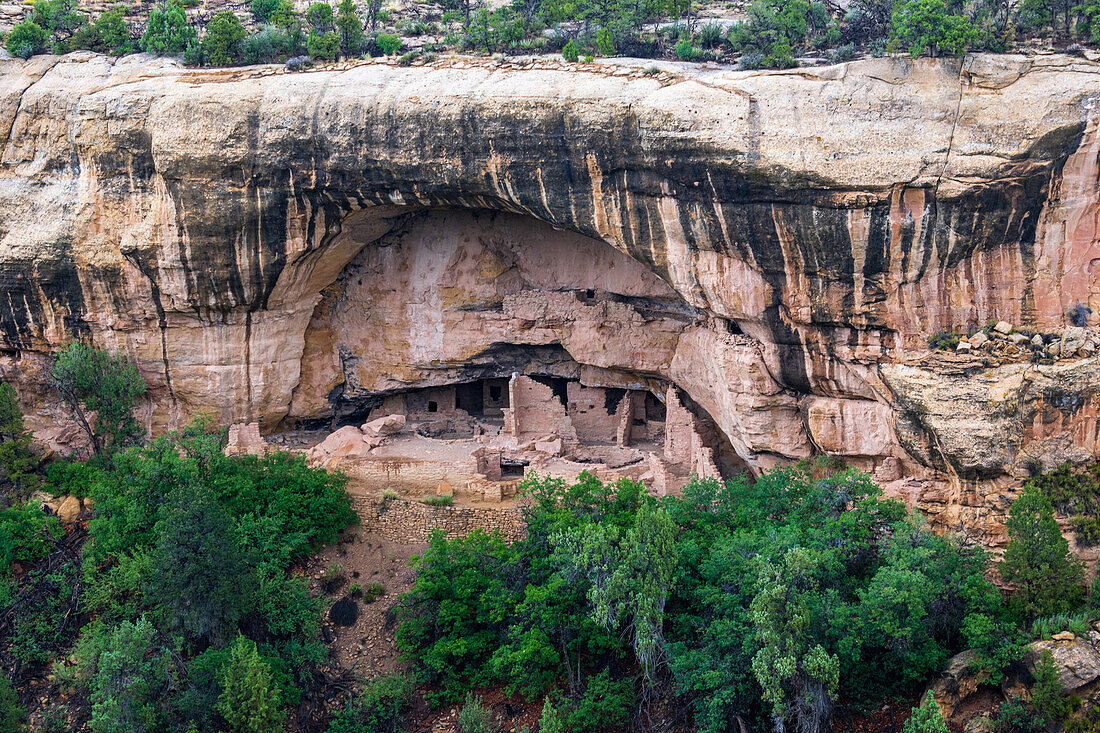Cliff dwellings come in many shapes and sizes .