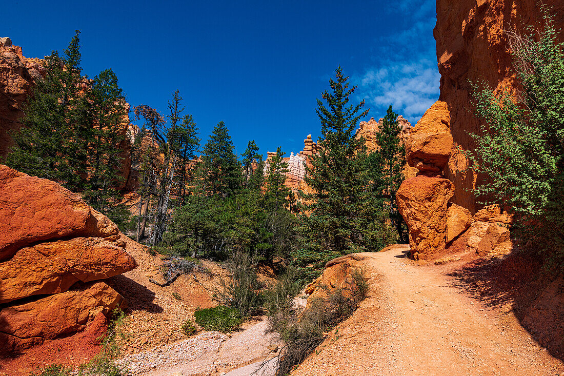 Hiking through the Bryce Canyon Ampitheater reveals many HooDoo's and other beautiful sites