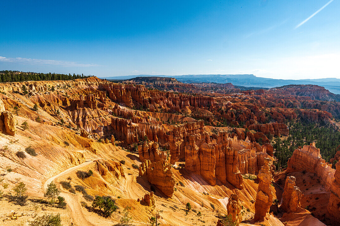 Hiking through the Bryce Canyon Ampitheater reveals many HooDoo's and other beautiful sites