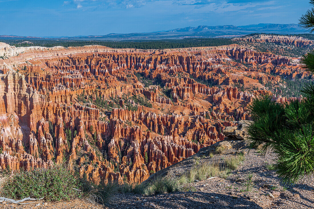 Hiking through the Bryce Canyon Ampitheater reveals many HooDoo's and other beautiful sites