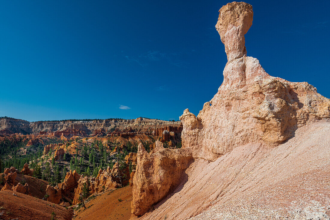 Hiking through the Bryce Canyon Ampitheater reveals many HooDoo's and other beautiful sites