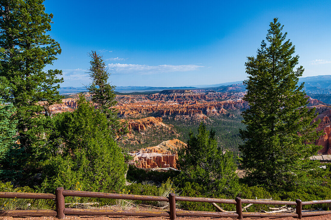 Blick zu Hoodoo Felsnadeln im Bryce Canyon Amphitheater, Bryce Canyon National Park, Utah, USA