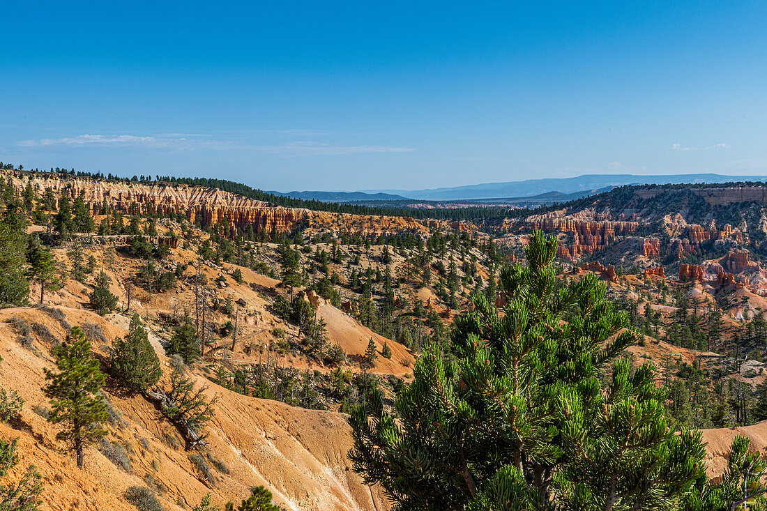 Hiking through the Bryce Canyon Ampitheater reveals many HooDoo's and other beautiful sites