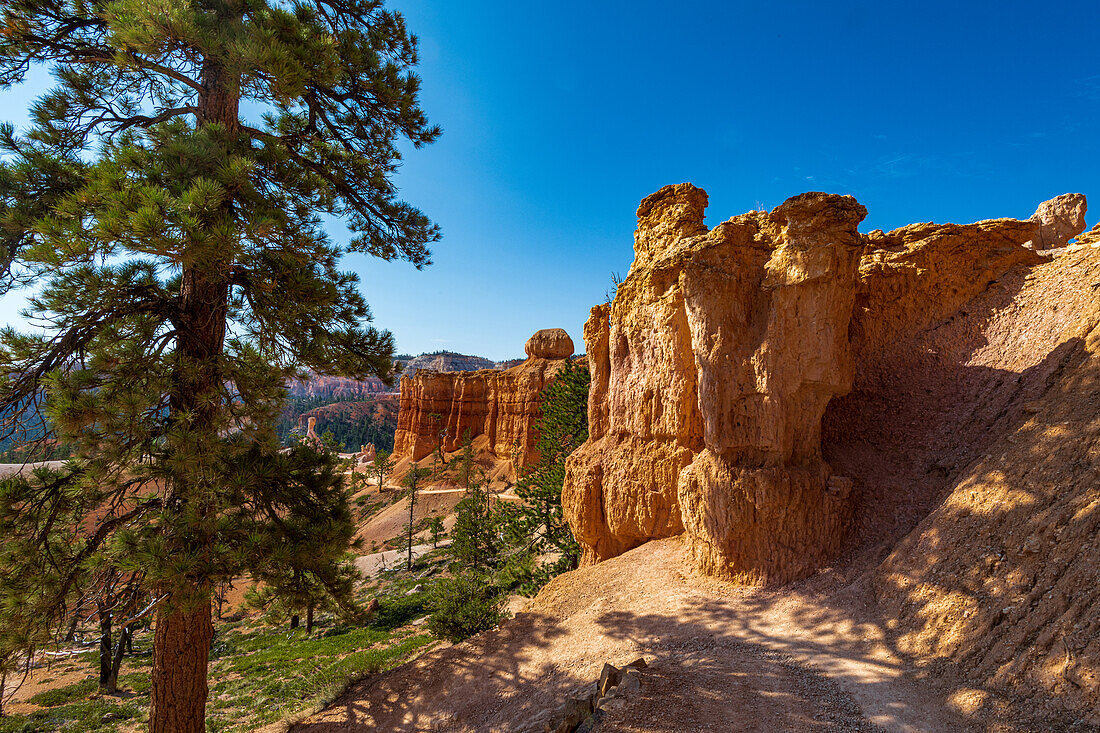 Hiking through the Bryce Canyon Ampitheater reveals many HooDoo's and other beautiful sites