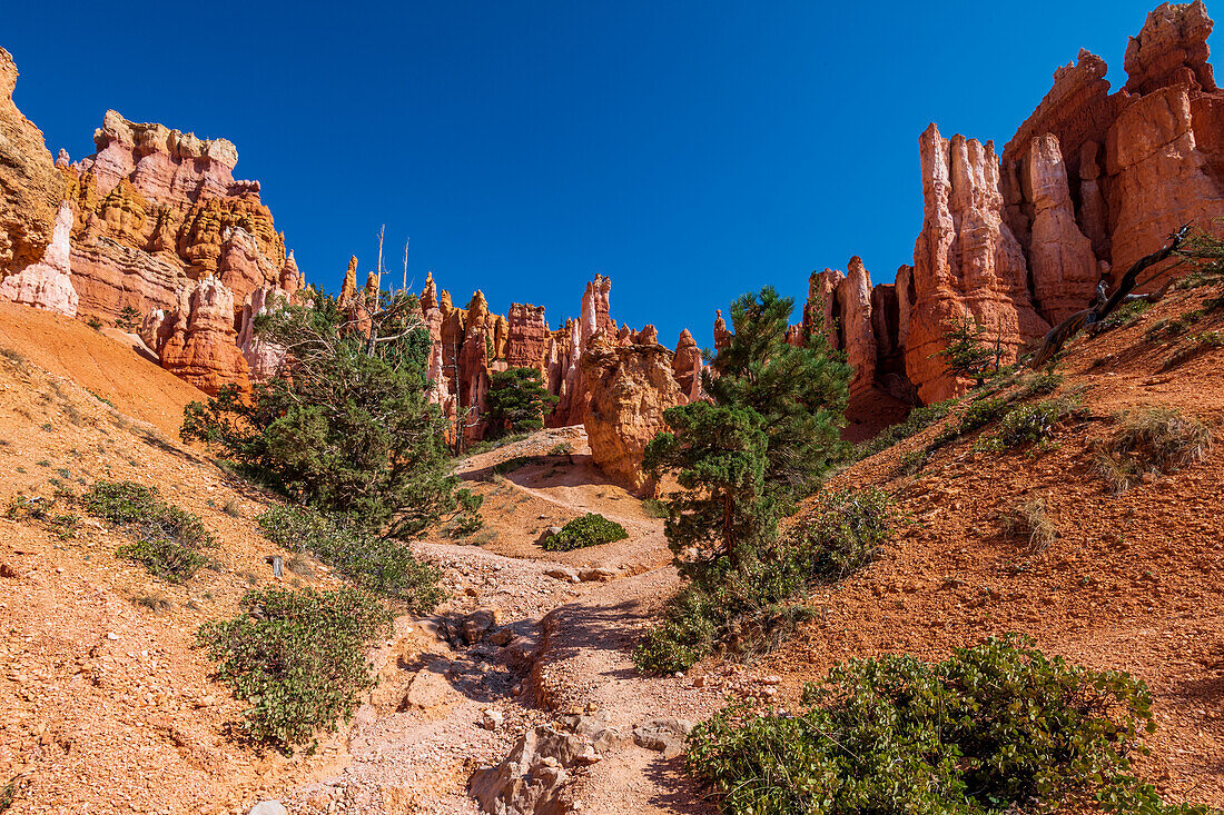 Hiking through the bryce Canyon Ampitheater reveals many HooDoo's and other beautiful sites