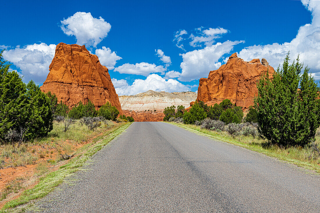 Monolithische Felsformationen im Kodachrome-Becken, Kodachrome Basin State Park, Utah, USA