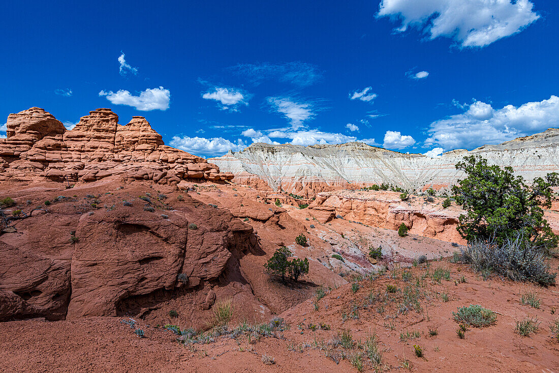 Towering monolithic spires or chimneys jut up from the valley floor or protrude from the sandstone rocks that surround Kodachrome Basin and inspire an infinite array of subjects limited only by one’s imagination