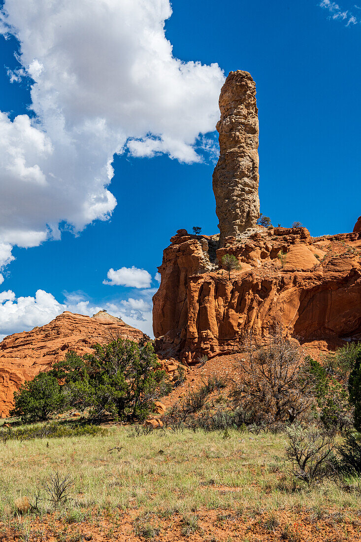 Monolithische Felsformationen im Kodachrome-Becken, Kodachrome Basin State Park, Utah, USA