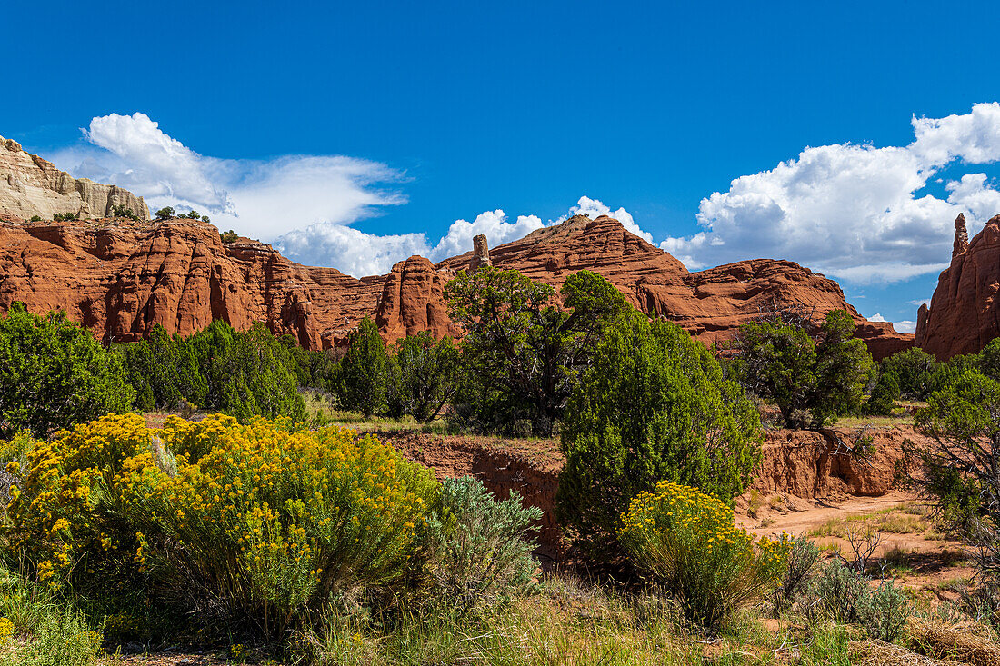 Monolithische Felsformationen im Kodachrome-Becken, Kodachrome Basin State Park, Utah, USA