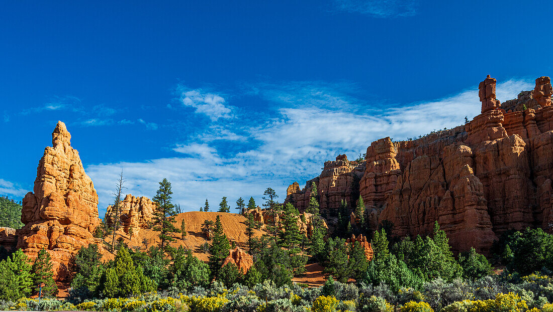 Red Rocks, Blue Sky, Green Trees and yellow flowers in Red Canyon Utah