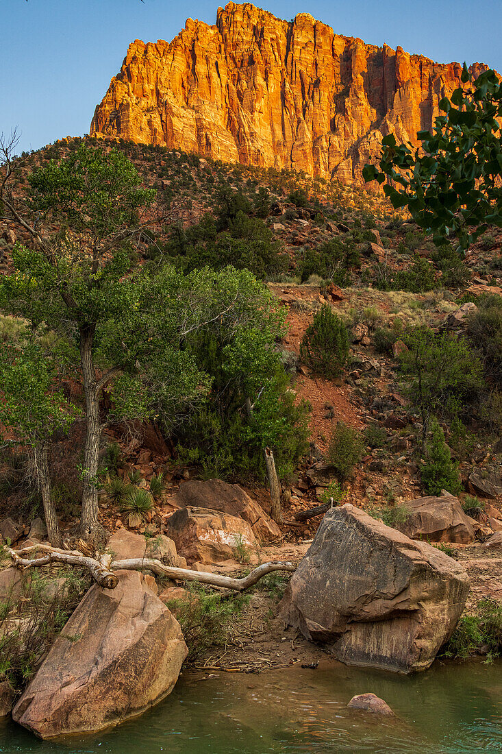 Der Virgin River und Felsformationen im Sonnenuntergang, Zion-Nationalpark, Utah, USA