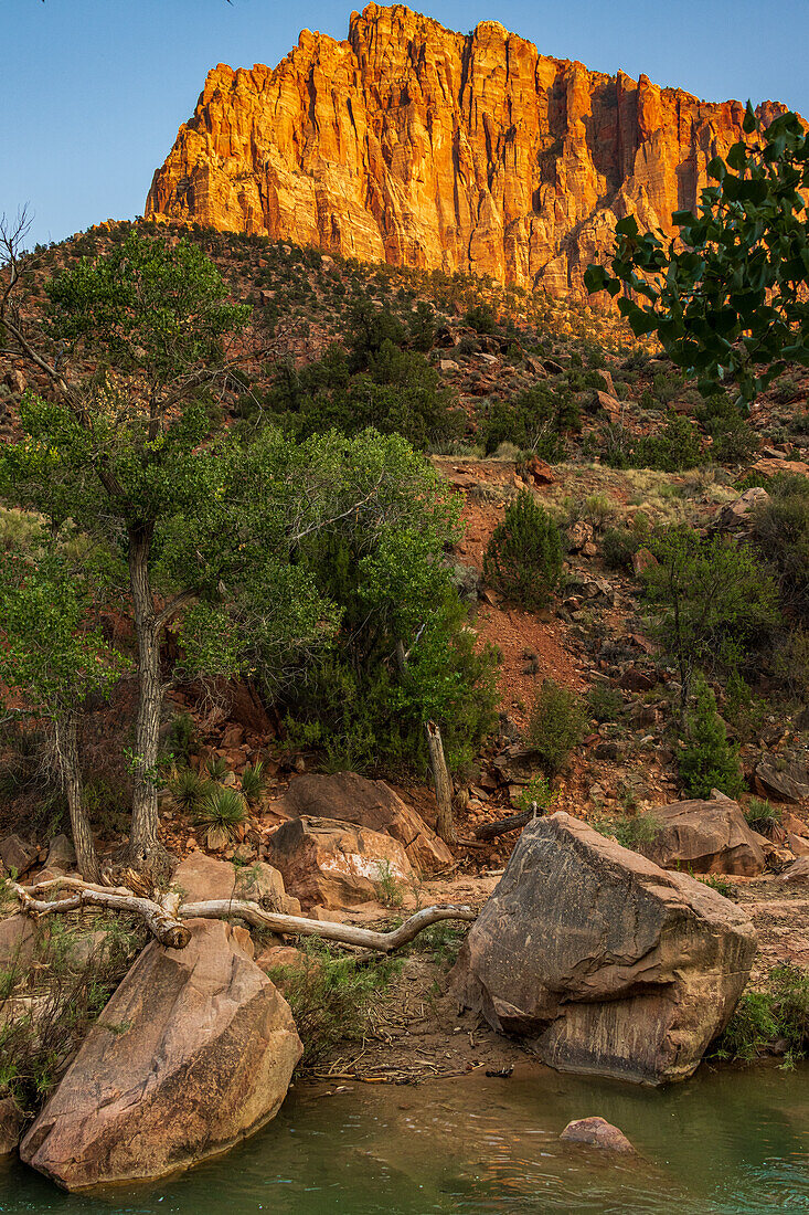 The Virgin River flows through Zion National Park and the colors of sunset paint the canyon walls