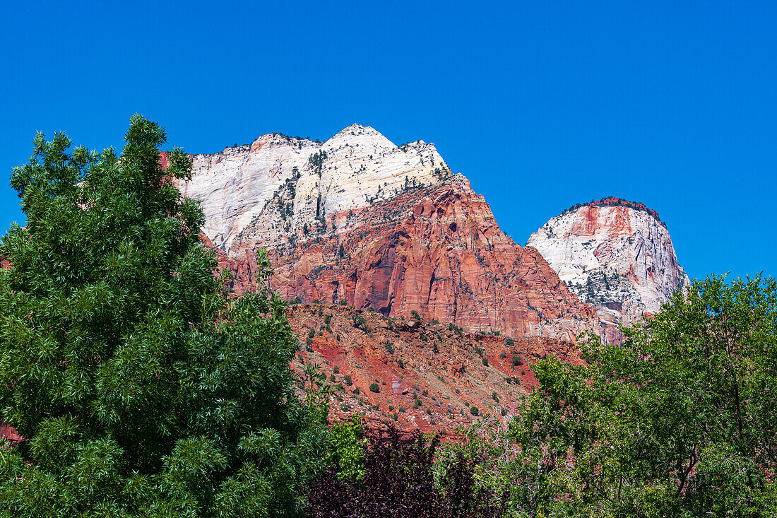 Beautiful Red and orange colors fill Zion National Park at sunset.